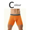 Men's Ice Silk Underwear Sexy Bulge Puch Low Rise See Through Boxer Briefs Thin Cool Boxers Shorts
