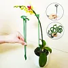 🔥2024 HOT SALE🔥Plant Support Stake