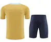 2024 France pre-match training Glod Shirt+Shorts 1:1 Thai Quality