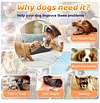 Dog Toys Ball, Indoor/Outdoor Interactive Dog Squeaky Balls for Tug of War, Puppy Birthday Gifts, Durable Plush Dog Toy for Small, Medium and Large Dogs
