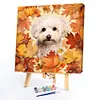 Maple Leaf Puppy-Paint by Numbers Acrylic Painting 40*40CM