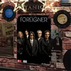 Foreigner - Vintage Metal Signs - 20*30cm/30*40cm - Music