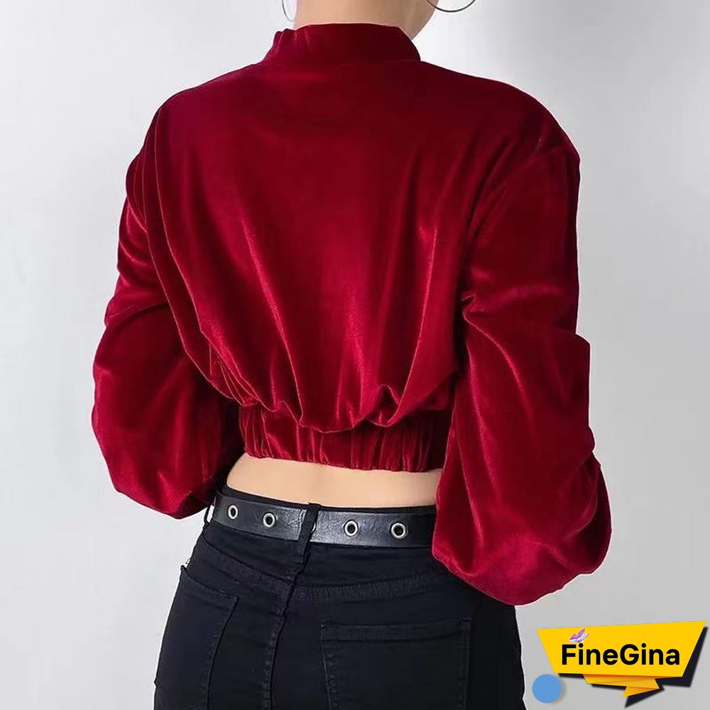 Elegant Turtleneck Velvet Crop Tops Women Autumn Solid Long Sleeve Sweatshirts Pullover Female Korean Fashion Streetwear