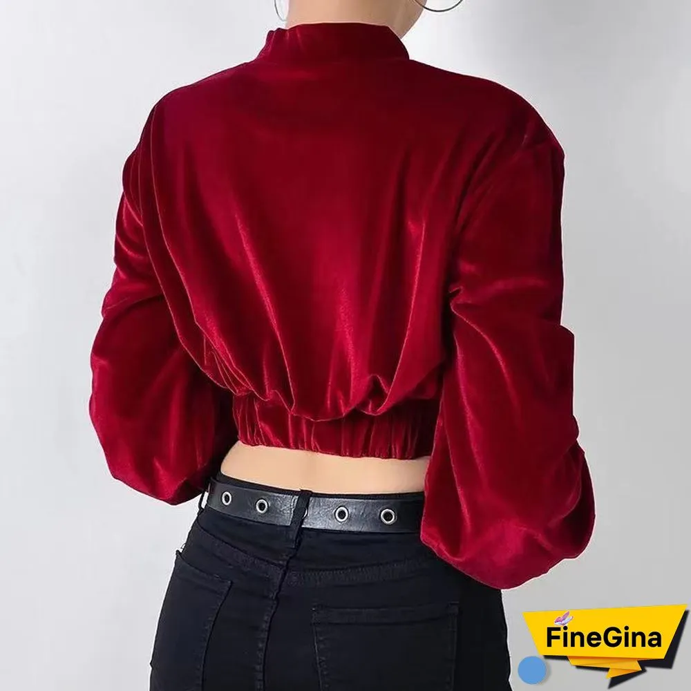 Elegant Turtleneck Velvet Crop Tops Women Autumn Solid Long Sleeve Sweatshirts Pullover Female Korean Fashion Streetwear