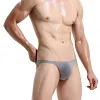 Men's Sexy Seamless See Through Underwear Low Waist Ice Silk Backless Tangas Sheer Bikini Briefs Underpants