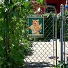Brush Teeth Cat - Vintage Metal Signs - 20*30cm/30*40cm