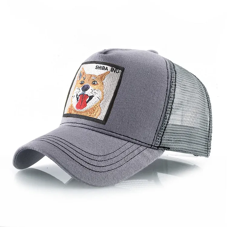 shiba