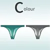 Low Rise Sexy Ice Silk Transparent Ultra Thin Seamless Thong