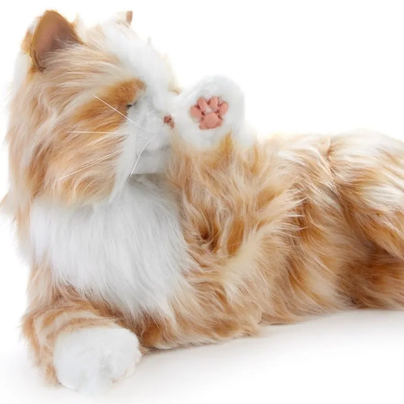 COMPANION PET CAT