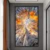 Autumn Birch Trees-11CT Stamped Cross Stitch 40*75cm/15.75*29.53in(Big Size)