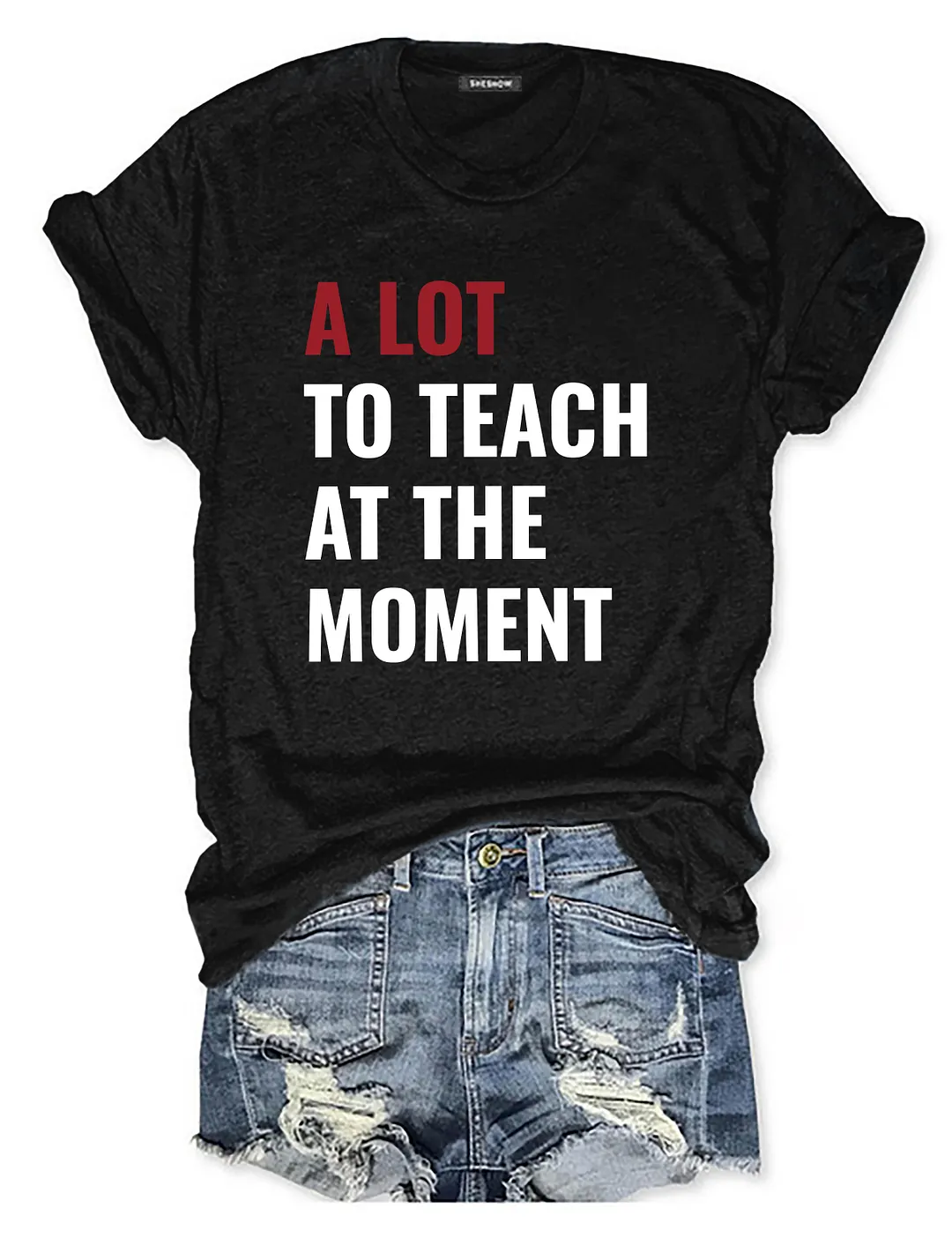 A Lot To Teach At The Moment T-Shirt