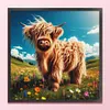 Highland Cow-11CT Stamped Cross Stitch 40*40cm