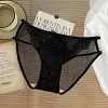Pure Desire Lace Seamless Sexy Briefs