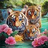 (Multi-Style) Tiger- 11CT Stamped Cross Stitch 40*40cm/40*55cm