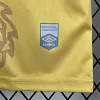 2025-2026 Santos Special Edition Football Shirt 1:1 Thai Quality