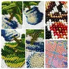 Flower - 9CT Partial Beaded Cross Stitch Kit(30x35cm)