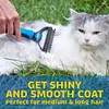 💖🎁2024 New Year Hot Sale🎁 48% 🎁Pet Safe Dematting Comb