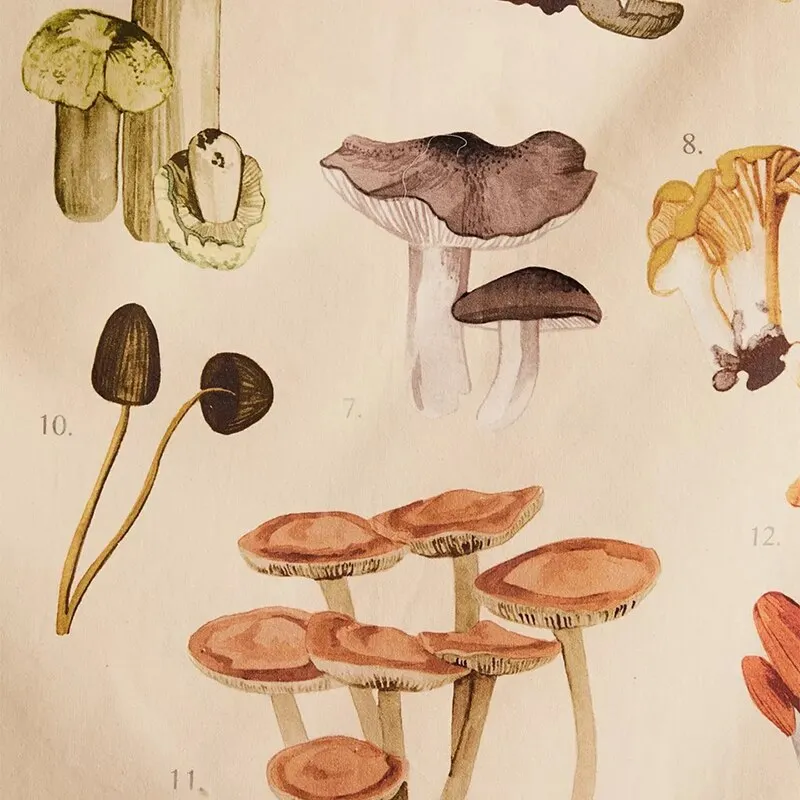 Psychedelic Mushroom Tapestry Wall Decor Mycology Mushroom Champignon Identification Chart Diagram Illustration Wall Decoration