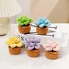 4Pcs Potted Plants Crochet Kit DIY Crochet Starter Kit Crochet Set for Beginners