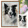 (Stamped/Counted) Border Collie-11CT Cross Stitch 40*60cm(Big Size)