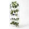 [US Local Warehouse] 5-Tier Acrylic Arched Bookshelf Modern Style Clear Bookcase Open Display Bookshelf for Home Office Living Room Kitchen Bedroom 11.81x23.62x65.35in Easy Assembly