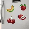 12Pcs Diamond Art Magnets Fridge Sticker Set for Adults Beginners (CN562 Fruit)