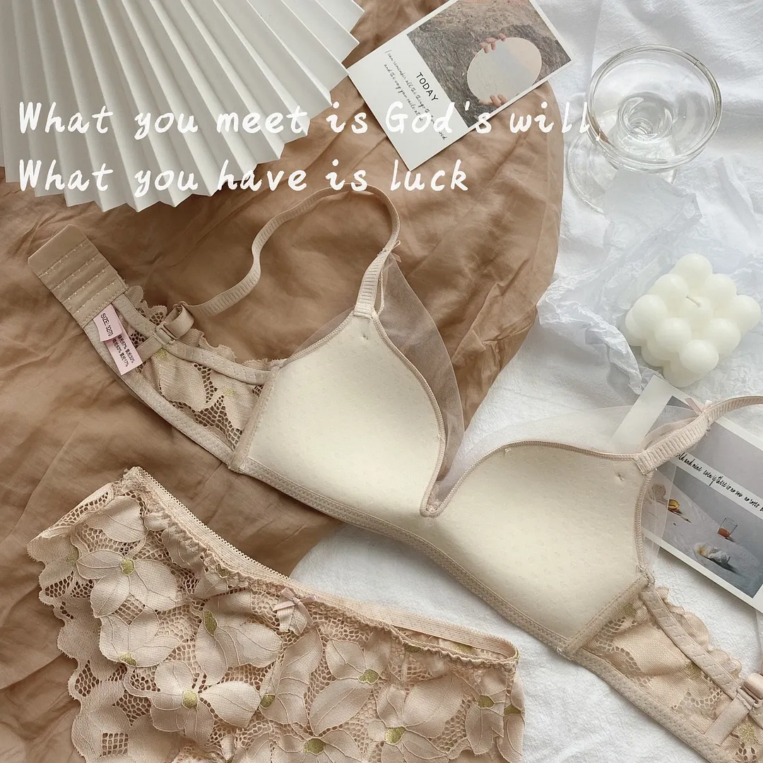 French  Bra Briefs Set Sexy Lace Underwear Fashion Push Up Comfort Brassiere Low Waist Seamless Panties Female Sexy Lingerie Set