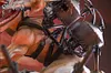 Cart Titan - Attack On Titan Resin Statue - Giant Studio