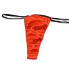 Men's Sexy Silk Bikini Low Waist Thong