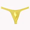 Seamless Solid Thong Men T-back Thin Low-Waisted Underpants
