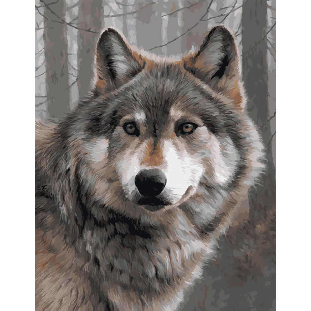 Gray Wolf-Paint by Numbers-30*40cm/40*50cm
