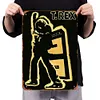 T. Rex - Vintage Metal Signs - 20*30cm/30*40cm - Music