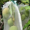 [US Local Warehouse] 60 Mesh Greenhouse Anti Insect Pest Fly Net Garden Plant Netting (2x10m)