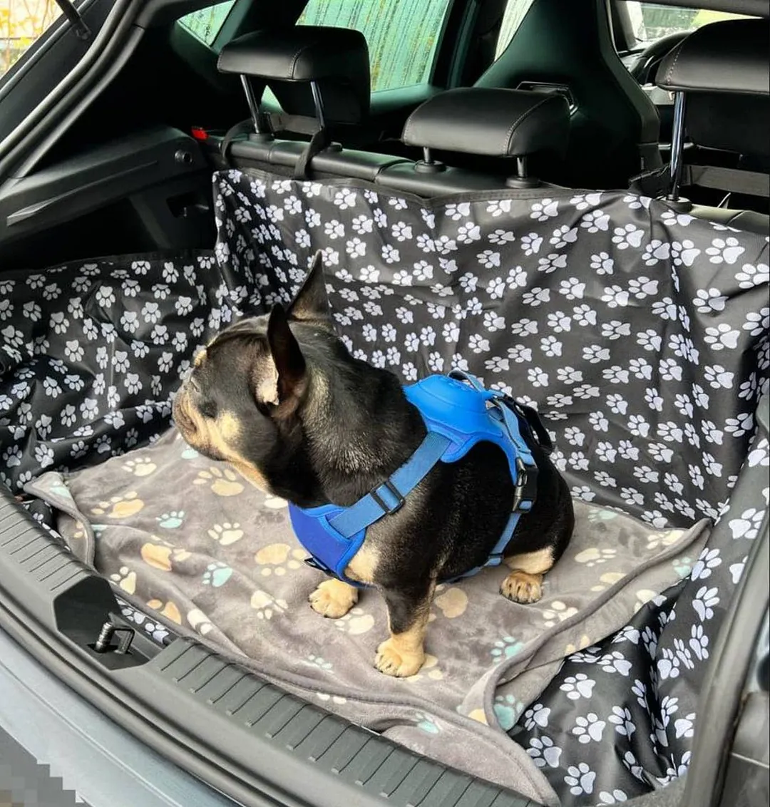 Poochbark&trade; 3 in 1 Dog Harness with Built-In Leash