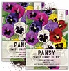 Swiss Giants Pansy Seeds for Gardening Planting Package of 600 Seeds Attracts Monarch Butterflies