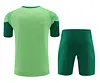 2024/2025 Palmeiras pre-match training Cyan-Blue Shirt+Shorts 1:1 Thai Quality