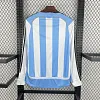 2006 Retro Long Sleeve Argentina Home Football Shirt 1:1 Thai Quality