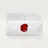 CARTIER JUSTE UN CLOU NECKLACE