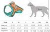 Cat Vest And Belt Kit Pet Traction Rope
