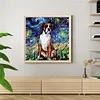 Dog-Paint By Numbers Acrylic Painting 40*40cm