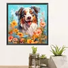 Laughing Dog-Paint by Numbers Acrylic Painting 40*40CM