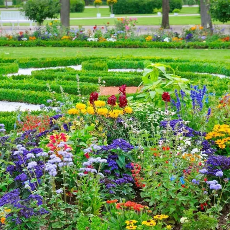 Mixed Perennial Flowers for All Seasons &ndash; 100+ Kinds