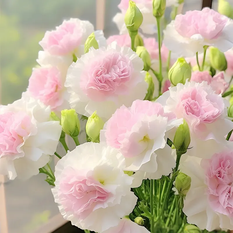 Premium Lisianthus Seeds &ndash; Grow Elegant, Long-Lasting Blooms in Your Garden