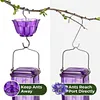 Hummingbird Feeder - Leak-proof seal