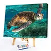 Sea Turtle-Paint by Numbers Acrylic Painting 50*40cm