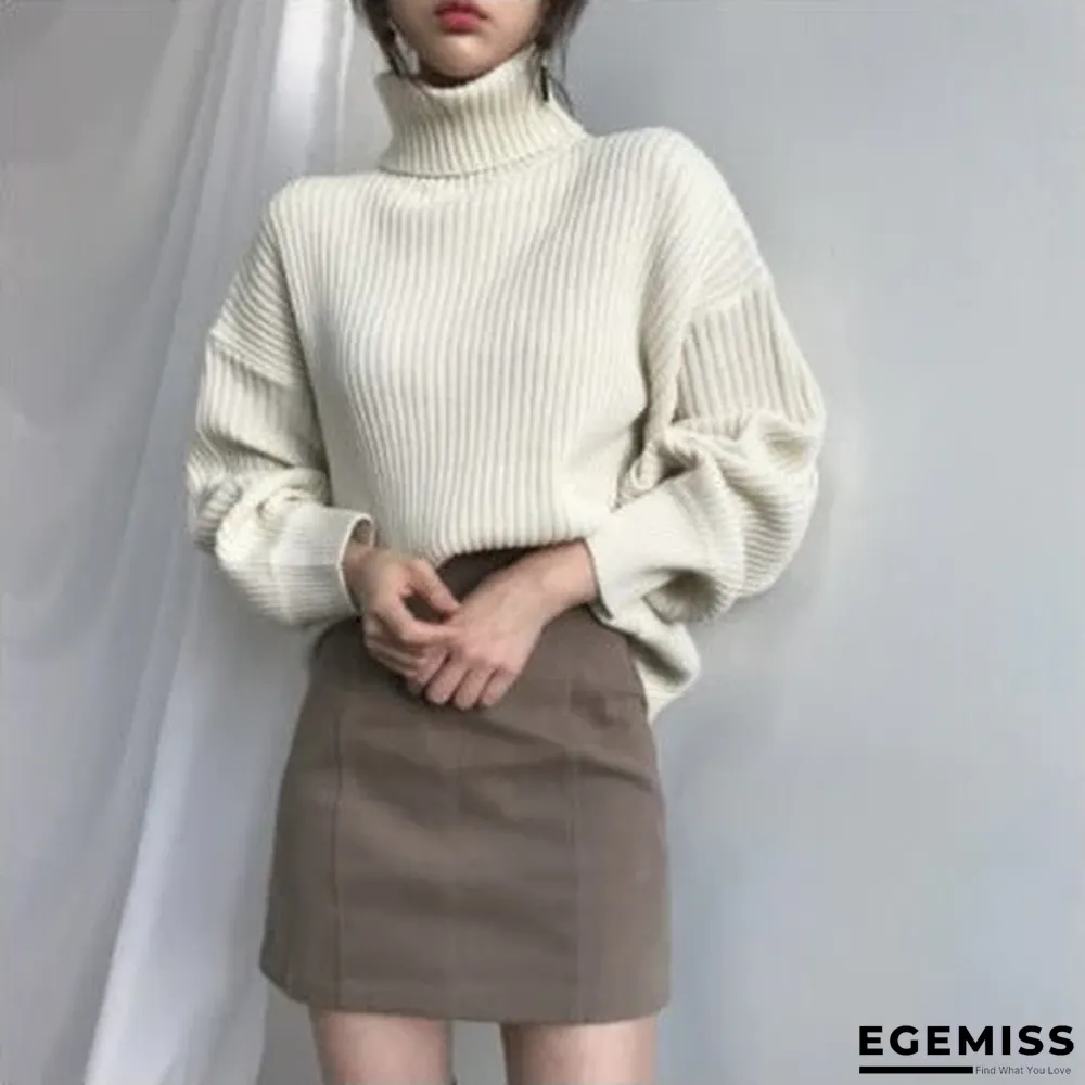Chic Style Solid Color Turtleneck Lazy Leisure Long Sleeve Sweater | EGEMISS