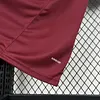 2024/2025 Roma Special Edition Soccer Jersey 1:1 Thai Quality