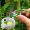 50/100/150 pi&egrave;ces Clips support pour plantes