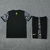 2025 Brazil Pre-Match Training Grey Shirt+Shorts 1:1 Thai Quality