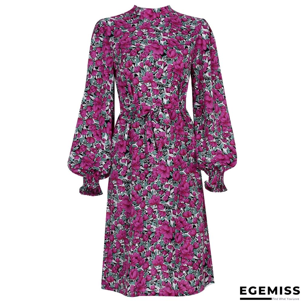 Floral Stand Collar Lantern Long Sleeve Chiffon Dress | EGEMISS